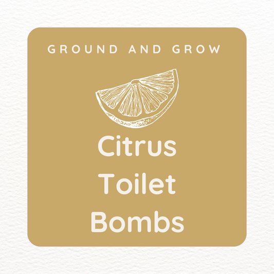 Citrus Toilet Bombs