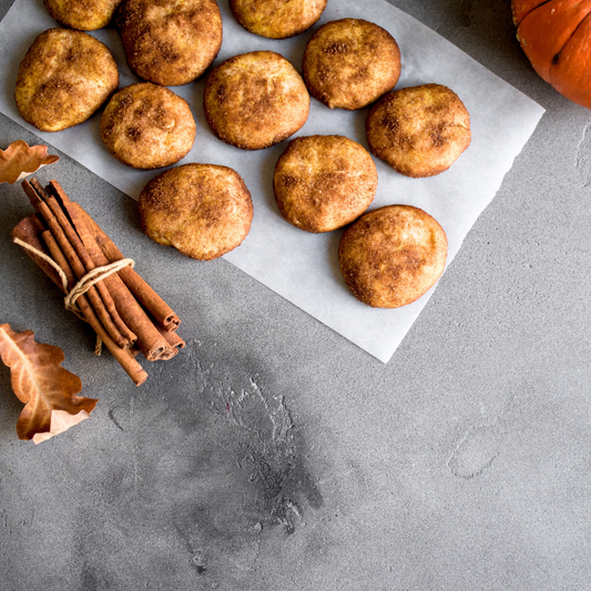 Snickerdoodle Bath Bomb Cupcake