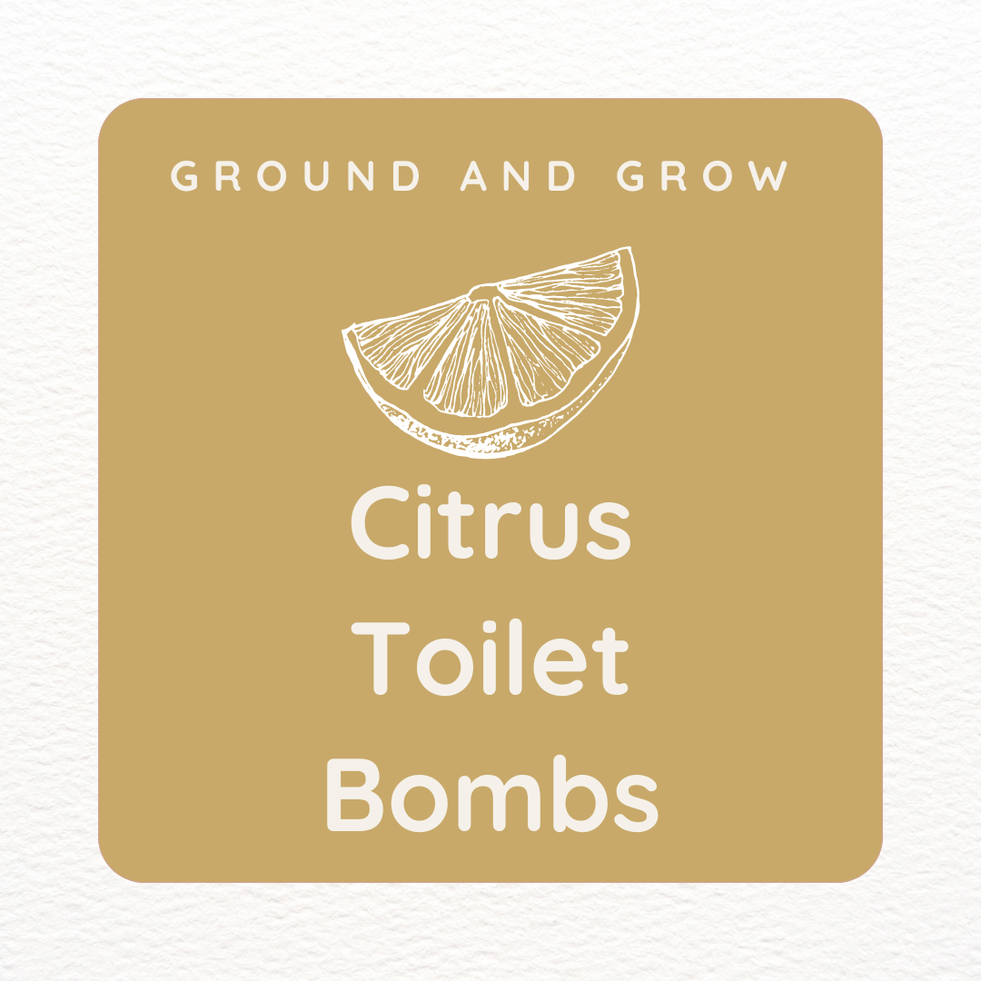 Citrus Toilet Bombs