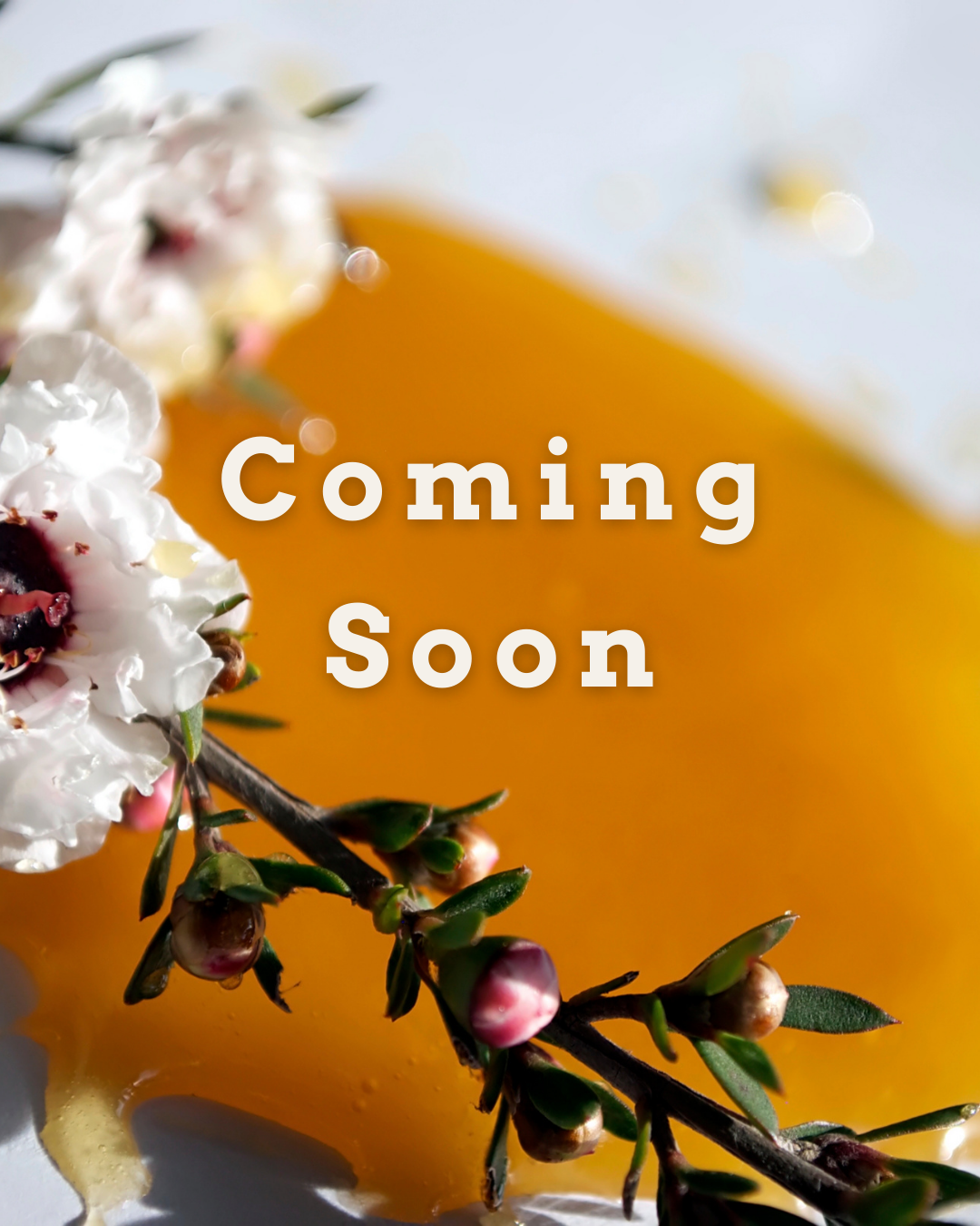 Citrus Coast Wax Melts