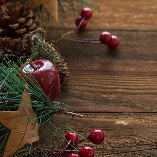 Sugarplum Bath Bomb Cupcake